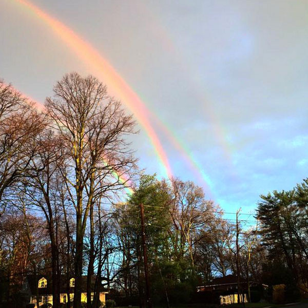Quadruple Rainbow, Twitter Quadruple Rainbow, Twitter